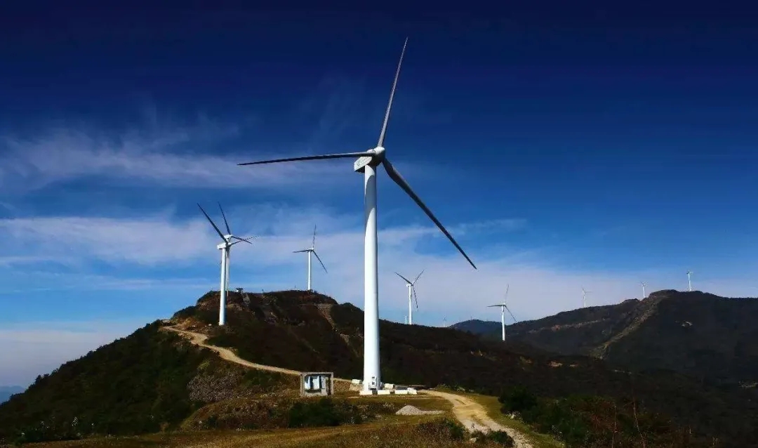 1596014193113776.jpg 640.webp (2).jpg